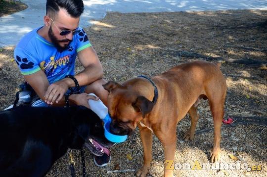Ofrecemos paseos diarios para perros en Barcelona